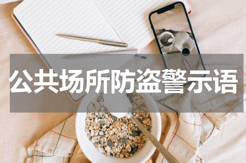 公共场所防盗警示语