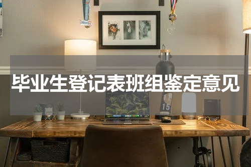 毕业生登记表班组鉴定意见