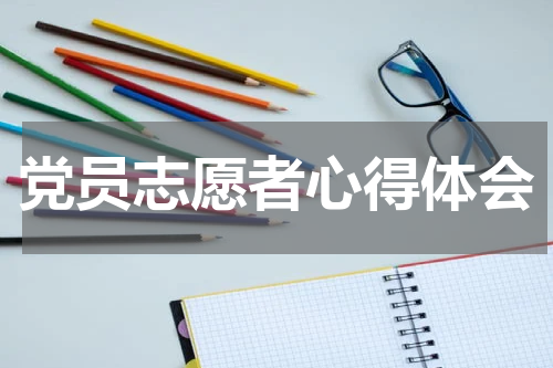 党员志愿者心得体会