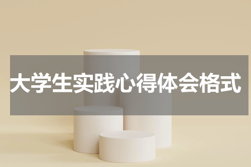 大学生实践心得体会格式