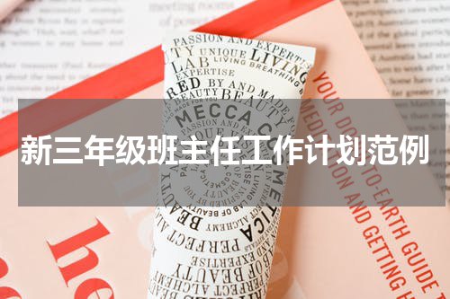 新三年级班主任工作计划范例
