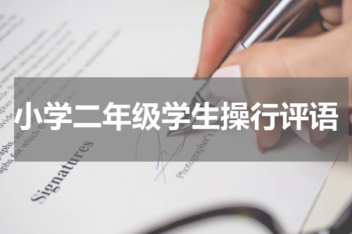 小学二年级学生操行评语