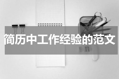 简历中工作经验的范文