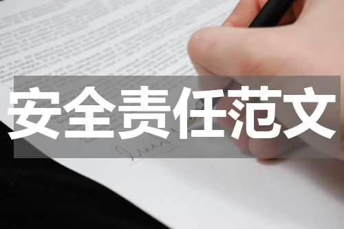 安全责任范文