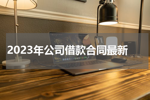 2023年公司借款合同最新