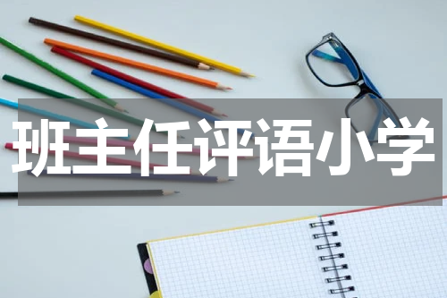 班主任评语小学