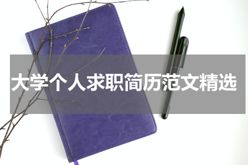 大学个人求职简历范文精选