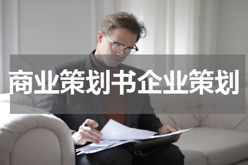 商业策划书企业策划