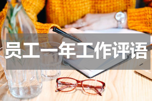 员工一年工作评语