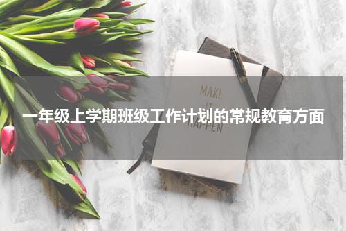 一年级上学期班级工作计划的常规教育方面