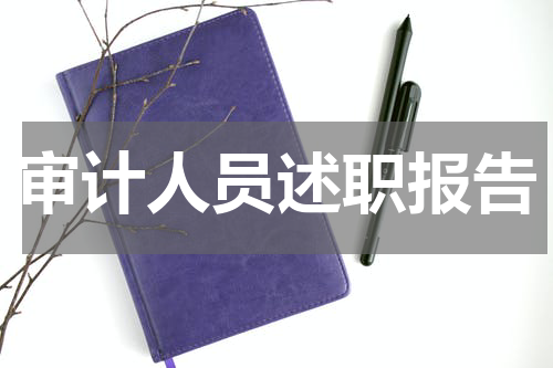 审计人员述职报告