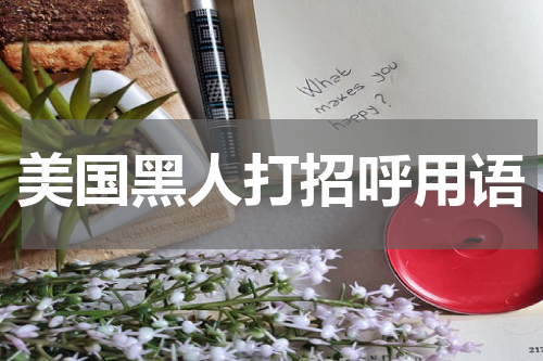 美国黑人打招呼用语