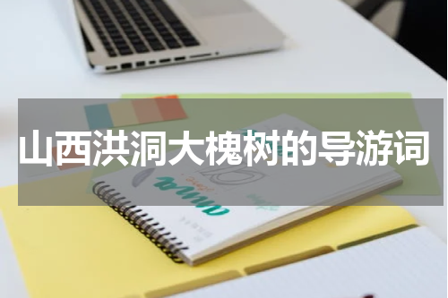 山西洪洞大槐树的导游词