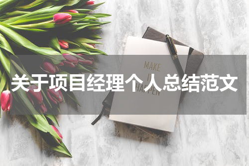 关于项目经理个人总结范文