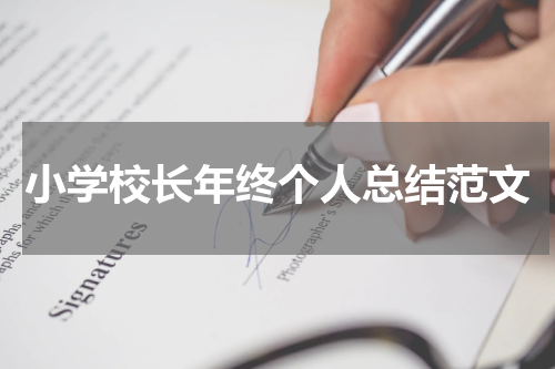 小学校长年终个人总结范文