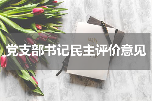 党支部书记民主评价意见