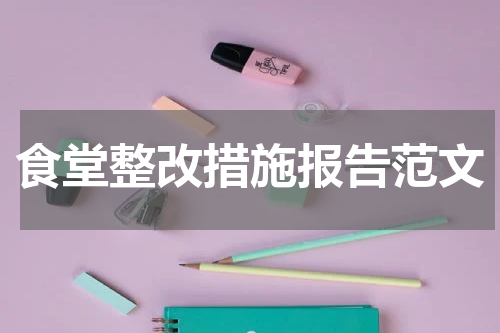 食堂整改措施报告范文