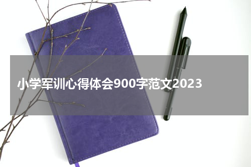 小学军训心得体会900字范文2023
