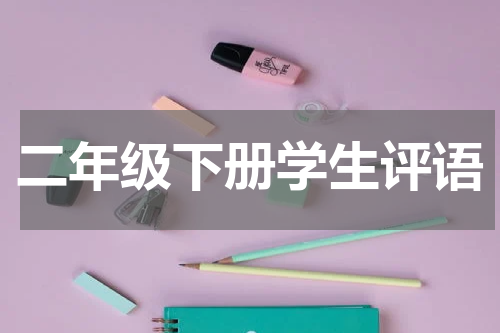 二年级下册学生评语