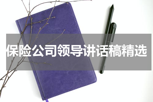 保险公司领导讲话稿精选