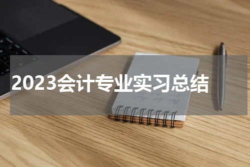 2023会计专业实习总结