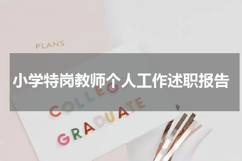 小学特岗教师个人工作述职报告