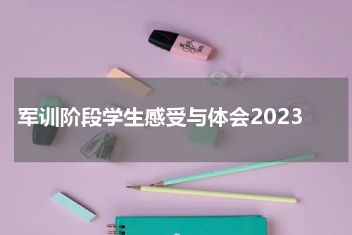 军训阶段学生感受与体会2023