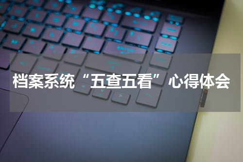 档案系统“五查五看”心得体会