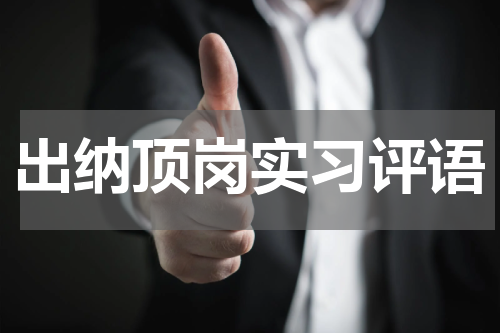 出纳顶岗实习评语