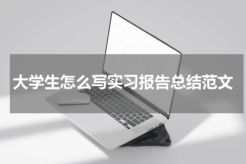 大学生怎么写实习报告总结范文