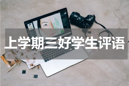 上学期三好学生评语