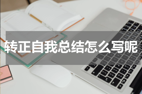 转正自我总结怎么写呢