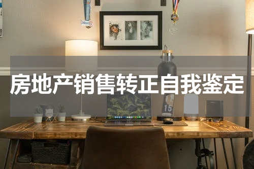 房地产销售转正自我鉴定