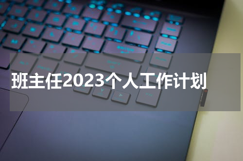 班主任2023个人工作计划
