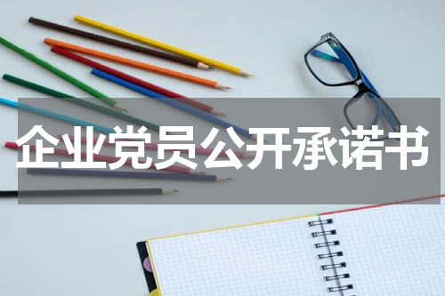 企业党员公开承诺书