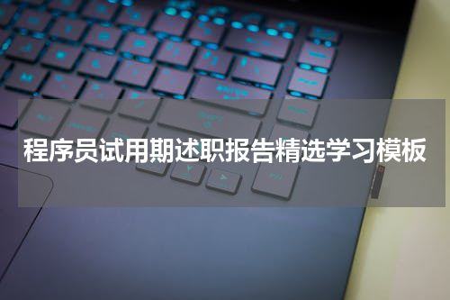 程序员试用期述职报告精选学习模板