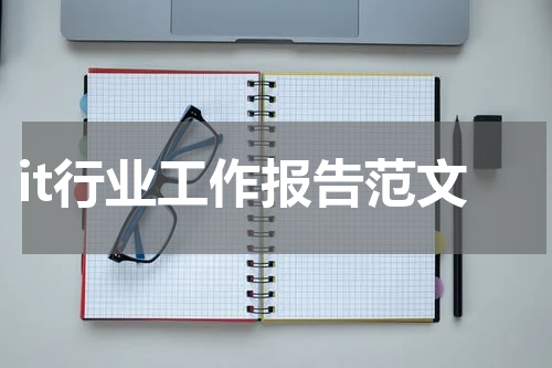 it行业工作报告范文
