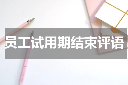 员工试用期结束评语