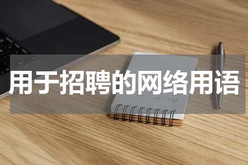 用于招聘的网络用语