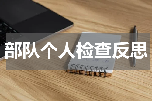 部队个人检查反思