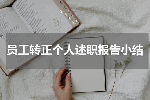 员工转正个人述职报告小结