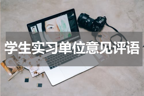 学生实习单位意见评语