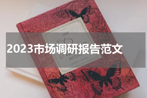 2023市场调研报告范文