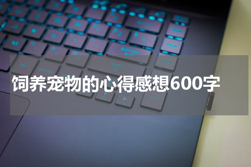饲养宠物的心得感想600字