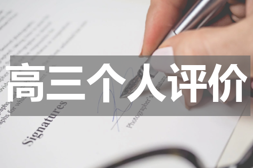 高三个人评价