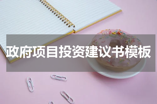 政府项目投资建议书模板
