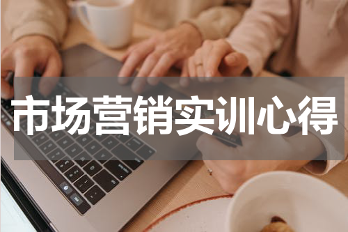 市场营销实训心得