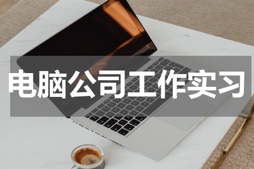 电脑公司工作实习