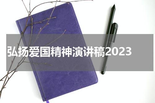 弘扬爱国精神演讲稿2023