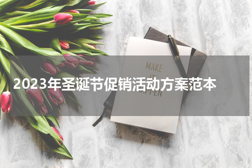 2023年圣诞节促销活动方案范本